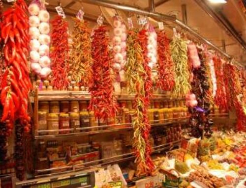 Food & Ingredients